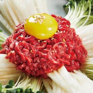 해남땅끝한우_육회용(500g)